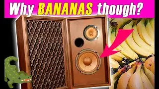 Recapping A Pioneer CS-33A Speaker. A Totally Bananas Repair Project That Anyone Can Do!