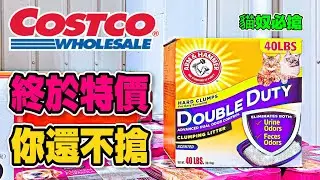#Costco好市多 2024/8/5-8/15 #隱藏優惠特價 (蜂巢糖塊冰淇淋/A4日本和牛嫩肩里肌火鍋片/美國藍莓/iPhone 15 256G)｜酷暑專案(鐵鎚加強除臭貓砂)｜新品(生切麻糬)