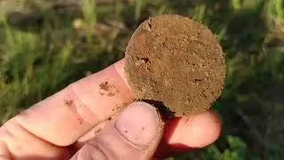 Невероятные находки у себя на усадьбе.