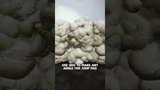 THE FINALS - Advanced Goo 