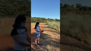 Liberación lechuza
