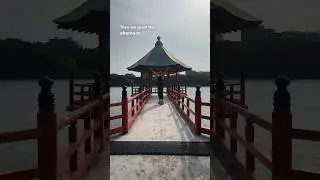Exploring Fukuoka, Japan 🇯🇵 Day in the life! 