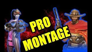 PRO Plays McCREE & WIDOWMAKER | Overwatch Pro Montage