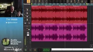 Audio Evolution Mobile Studio - Tutorial 9: Automation