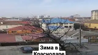 Зима в Краснодаре. Зимой ни разу не было снега. #shorts