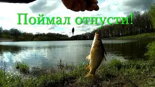 Тульская обл.  Майский пруд!