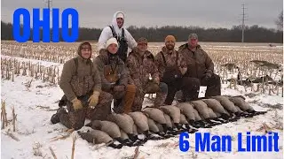 Goose Hunting - Hundreds of Geese!!!! (Limited out)