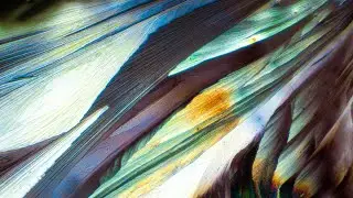 Polarized Microscopy of Crystallized Beta-Alanine - Scientific Art