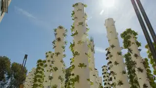 UCLA’s Comprehensive Sustainability Plan