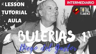 [TOTAL FLAMENCO] 