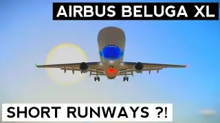 Airbus Beluga can land anywhere! 😱 Airbus Beluga XL on short runways.