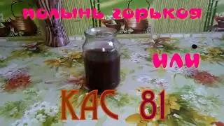 Wormwood or KAS 81 - how to make a wormwood decoction for bees, Beekeeping
