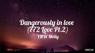 ynw melly - dangerously in love (772 love pt.2) (lyrics)