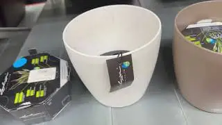 Lechuza CLASSICO Color 18 (Лечуза классико колор 18)