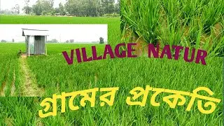 Village Nature (গ্রাম্য পরিবেশে)#Villagevlog #anowarvlog #dallyvlogging