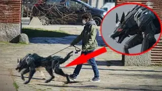 ЖИВОТНЫЕ БУДУЩЕГО. КТО ОНИ?