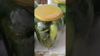 засолка огурцов