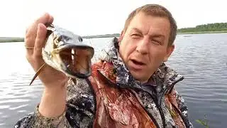 Ловим ЩУКУ  на летние ЖЕРЛИЦЫ  ! ЩУКА рвёт леску !Рыбаки в ШОКЕ !