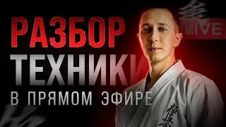 Онлайн семинар по каратэ Киокушинкай - Разбор частых ошибок