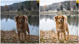 photoshop lightroom tutorial 2022