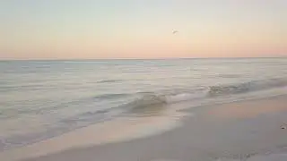 The Most Calming Waves: Ocean Sounds for Study, Sleep, and Relaxation