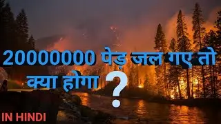 क्या होगा अगर हमने 20,000,000 पेड़ जलाए ?