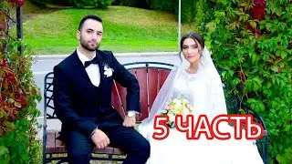 # Езидская DAWATA Захар&Нина 5 часть