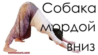 поза Собака мордой вниз йога видео | Адхо мукха шванасана поза горка