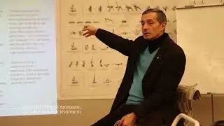 жертва и мотив