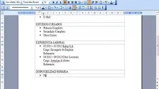 Curriculum Vitae Paso a Paso
