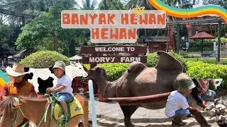 Kebun Binatang di Cimory | mory's farm