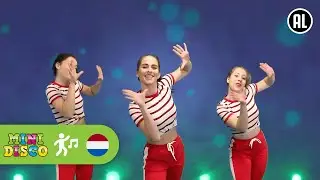 HOKEY COKEY | Kinderliedjes | Leer de Dans | Minidisco