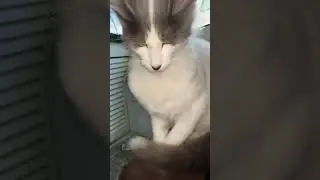 Tas bien rica mami #viral