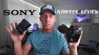 Sony A7III 1 Year Review: Still a good choice in 2019?