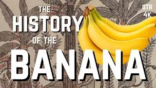 The Not-So-Sweet Story of Bananas