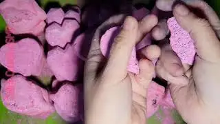 Pink Love and Kisses • Calico Crunch ASMR