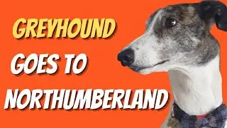 Greyhound  - Magnus goes to Northumberland