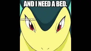 Excuse Me Mr. Rhyhorn? Poor Typhlosion