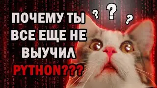 Зачем нужно учить Python в 2024 году? ВВЕДЕНИЕ
