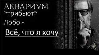 Аквариум / Лобо / -  Всё, что я хочу. Караоке