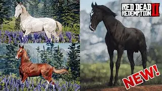 NEW HORSES LEAKS & SPOILERS + Buying New Horses in Red Dead Online (RDR2)