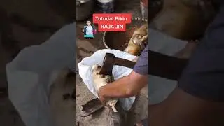 TERNYATA INI CARA BUAT RAJA JIN DI KONTEN MUKBANG DEDE INOEN