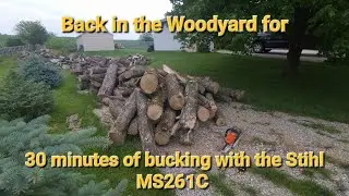 #18 Back in the Woodyard for a 1/2 hour of bucking Ash logs