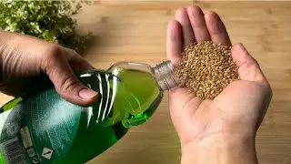 Mix detergent with FLAXSEED 😱  You won't believe the incredible result