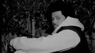 the weeknd – don't break my heart (slowed + reverb)