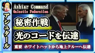 重要 ホワイトハットから地上クルーへ🪐秘密作戦 光の勢力のコード伝達🌈アシュタール司令部からのメッセージ [2025/1/22 19:00]