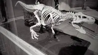 Dinosaur automoton
