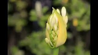 СИЛЬНАЯ ЧИСТКА  ОБНОВ. ДЛЯ ВСЕХ. ВЕДЬМИНА ИЗБА. ИНГА ХОСРОЕВА.