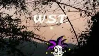 wasabi skate team intro 2 wst