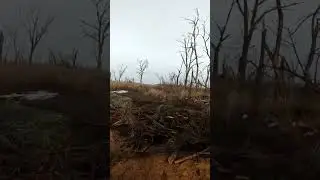 🇺🇦Уничтоженный украинский (бывший наш) Т-72Б3 рядом с Бахмутом